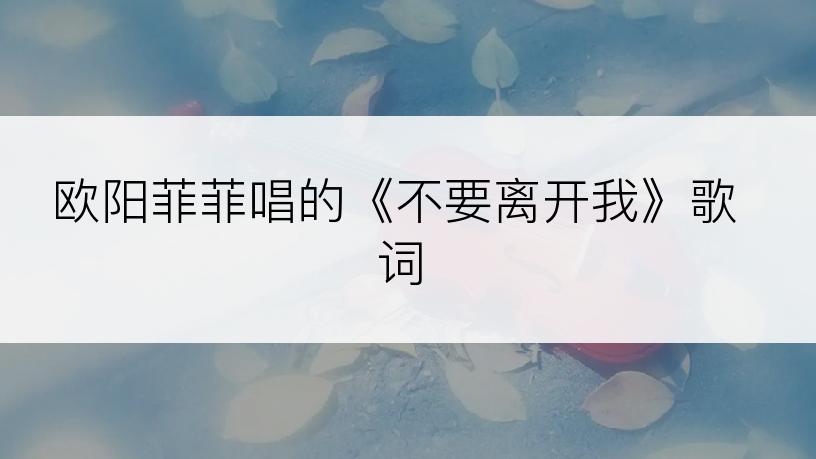 欧阳菲菲唱的《不要离开我》歌词