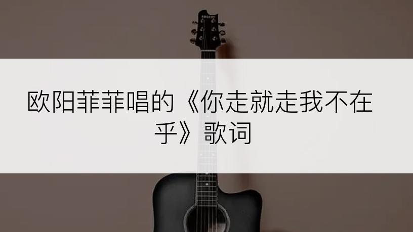 欧阳菲菲唱的《你走就走我不在乎》歌词