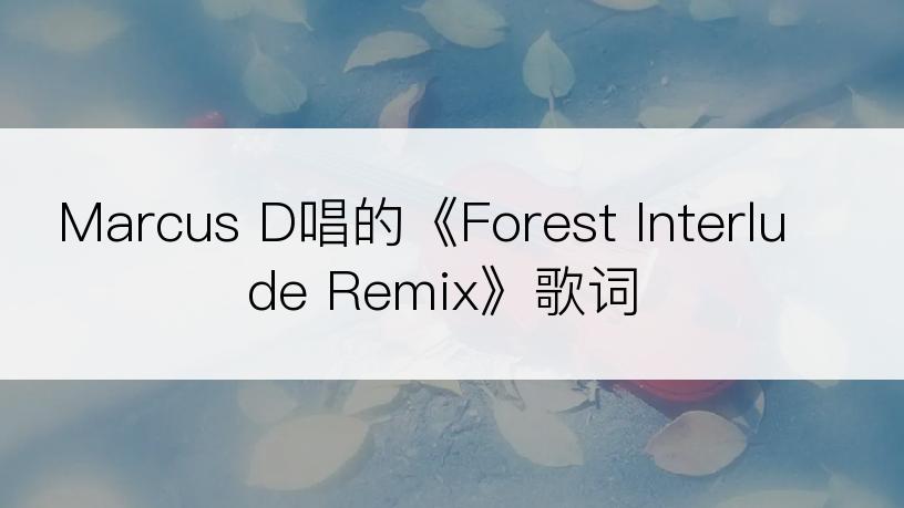 Marcus D唱的《Forest Interlude Remix》歌词