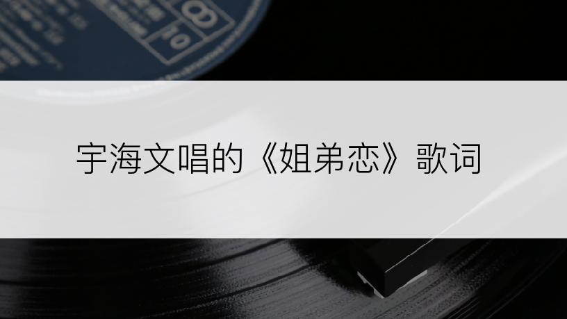 宇海文唱的《姐弟恋》歌词