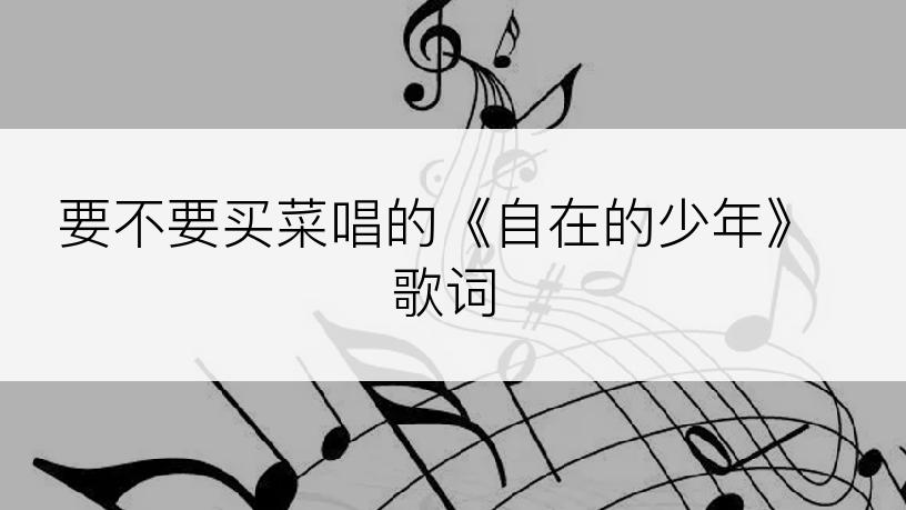 要不要买菜唱的《自在的少年》歌词