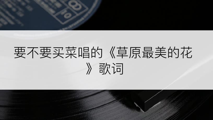 要不要买菜唱的《草原最美的花》歌词
