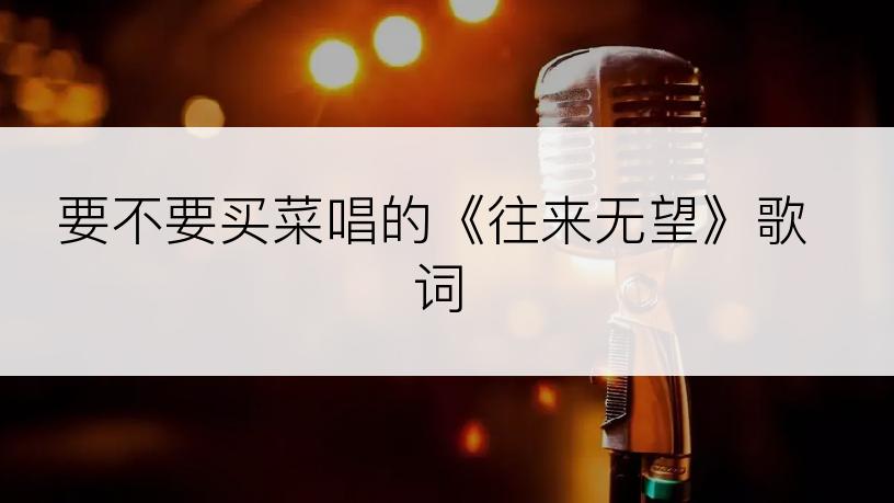 要不要买菜唱的《往来无望》歌词