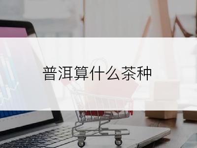 普洱算什么茶种