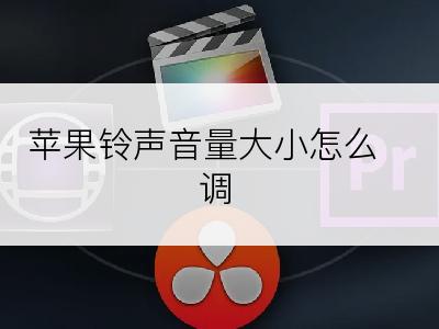 苹果铃声音量大小怎么调