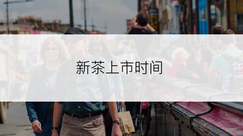 新茶上市时间