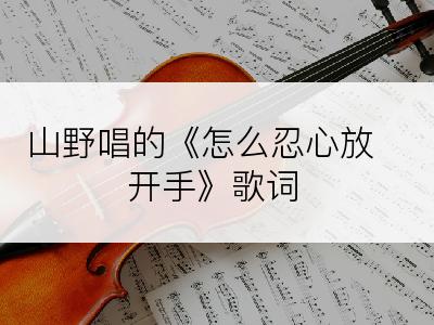 山野唱的《怎么忍心放开手》歌词