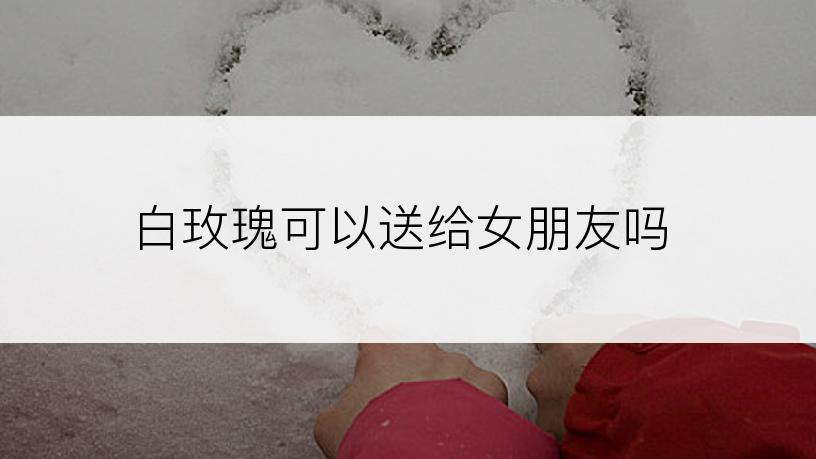 白玫瑰可以送给女朋友吗