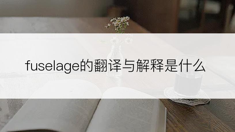 fuselage的翻译与解释是什么