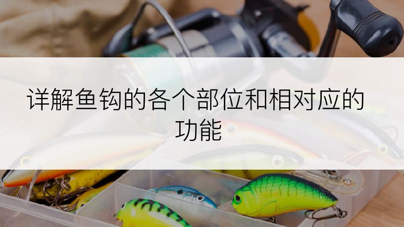 详解鱼钩的各个部位和相对应的功能