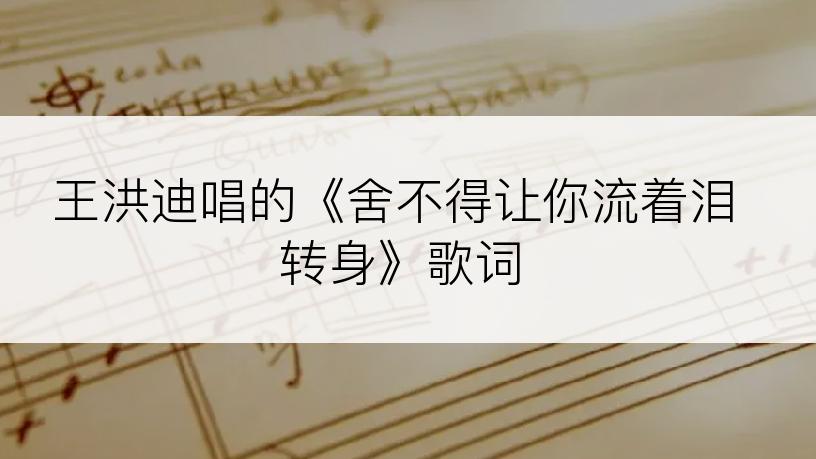 王洪迪唱的《舍不得让你流着泪转身》歌词