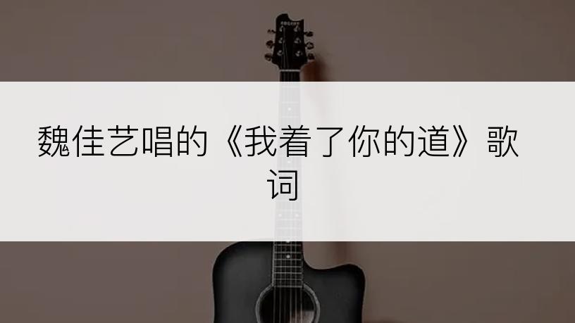 魏佳艺唱的《我着了你的道》歌词