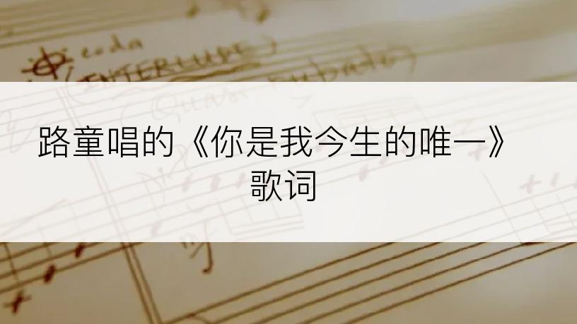 路童唱的《你是我今生的唯一》歌词