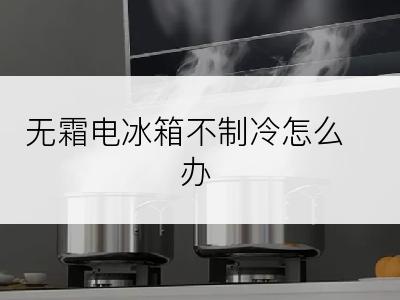 无霜电冰箱不制冷怎么办