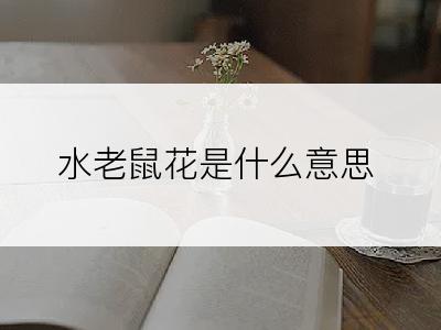 水老鼠花是什么意思