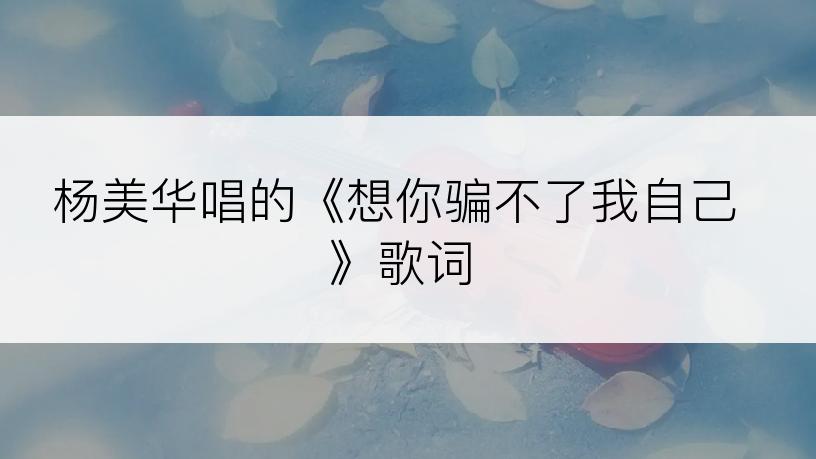 杨美华唱的《想你骗不了我自己》歌词