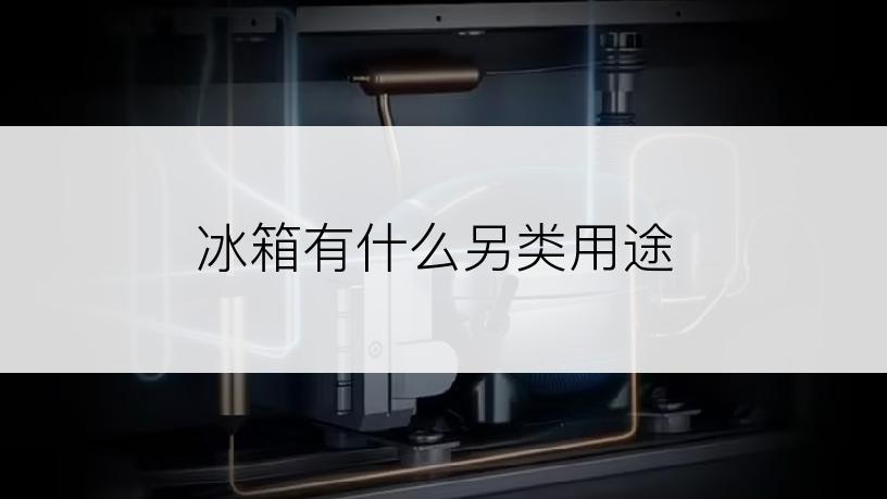 冰箱有什么另类用途