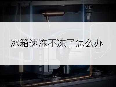 冰箱速冻不冻了怎么办