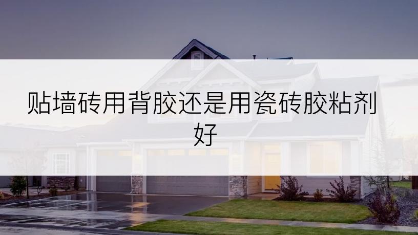 贴墙砖用背胶还是用瓷砖胶粘剂好