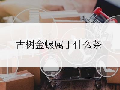 古树金螺属于什么茶