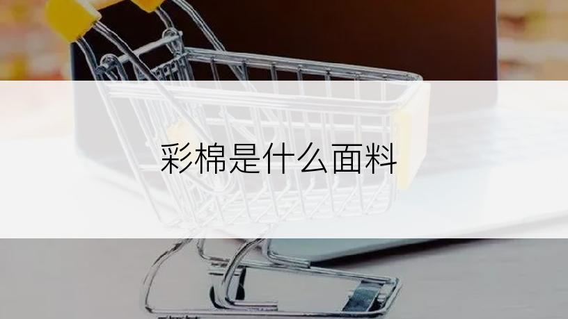 彩棉是什么面料