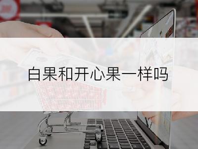 白果和开心果一样吗