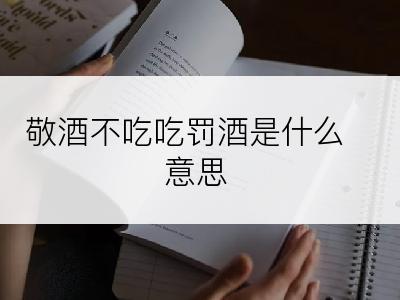 敬酒不吃吃罚酒是什么意思