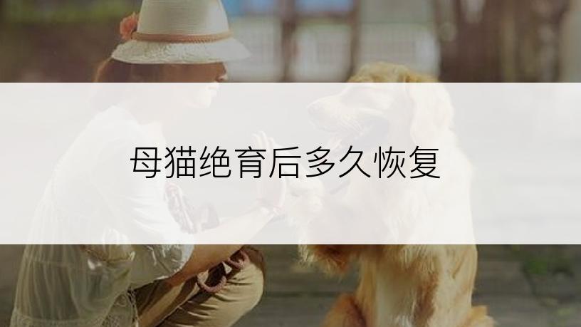 母猫绝育后多久恢复