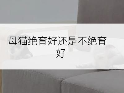 母猫绝育好还是不绝育好