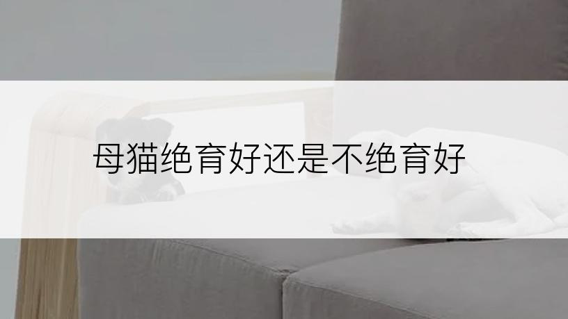 母猫绝育好还是不绝育好