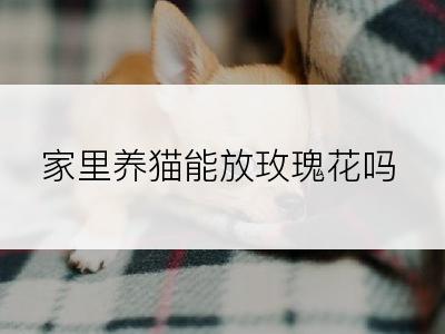 家里养猫能放玫瑰花吗