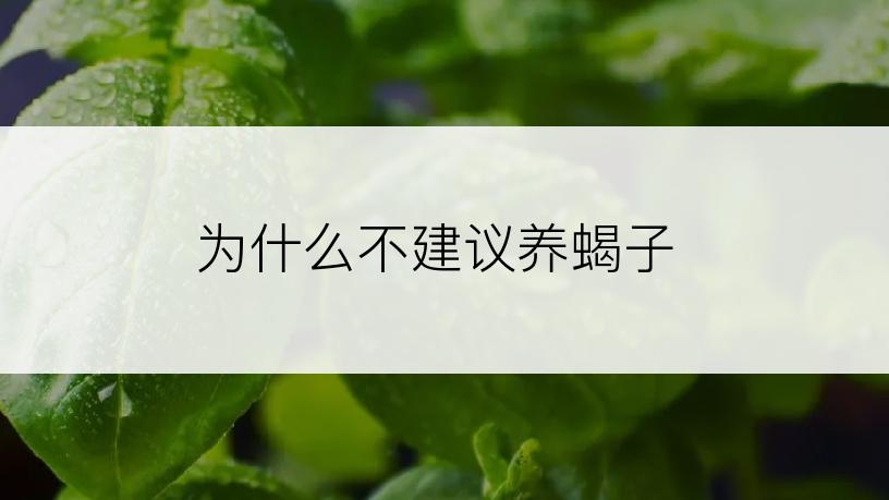 为什么不建议养蝎子