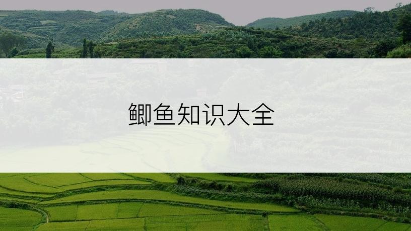 鲫鱼知识大全