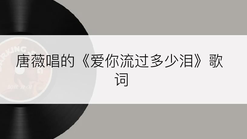 唐薇唱的《爱你流过多少泪》歌词