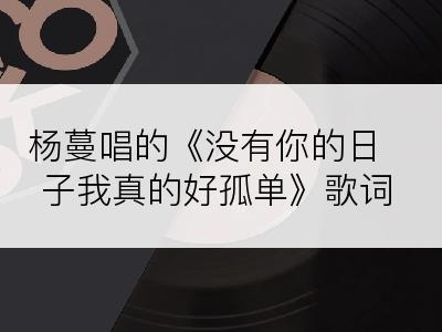 杨蔓唱的《没有你的日子我真的好孤单》歌词