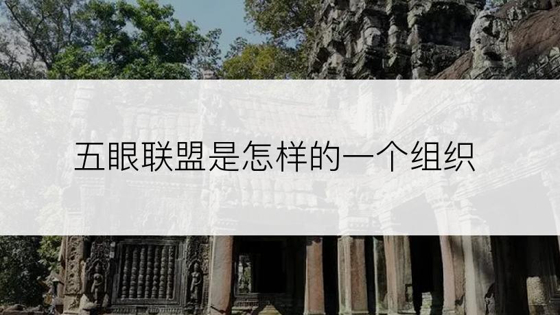 五眼联盟是怎样的一个组织