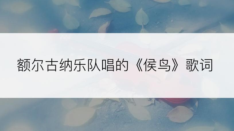 额尔古纳乐队唱的《侯鸟》歌词