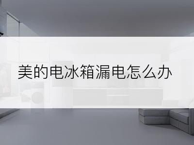 美的电冰箱漏电怎么办