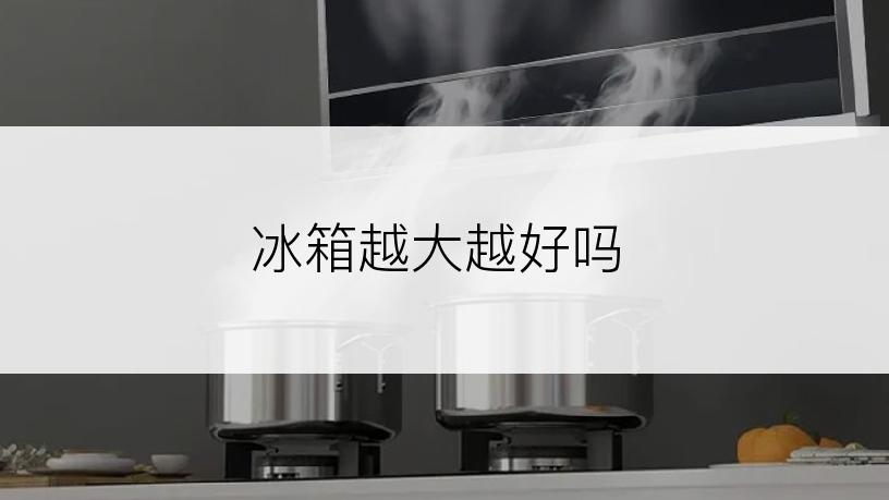 冰箱越大越好吗