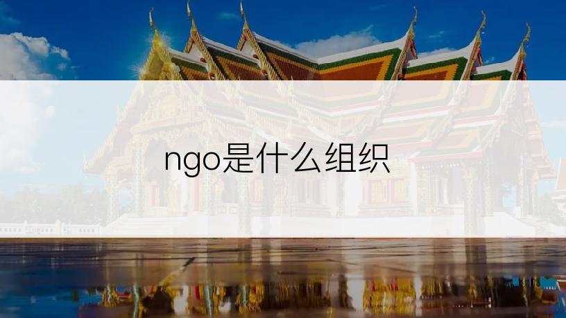 ngo是什么组织