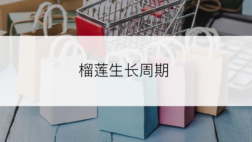 榴莲生长周期