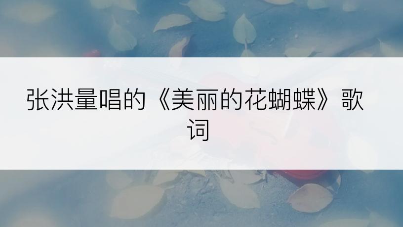 张洪量唱的《美丽的花蝴蝶》歌词