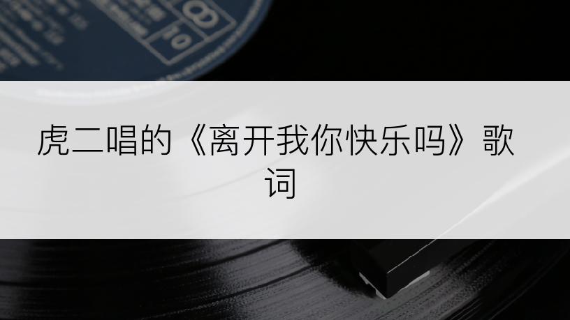 虎二唱的《离开我你快乐吗》歌词