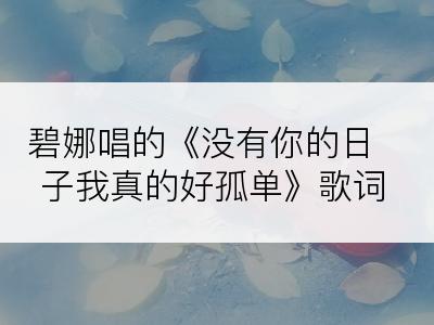 碧娜唱的《没有你的日子我真的好孤单》歌词