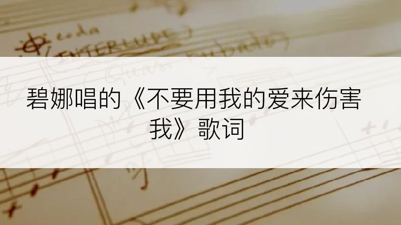 碧娜唱的《不要用我的爱来伤害我》歌词