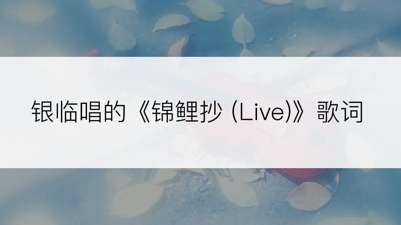 银临唱的《锦鲤抄 (Live)》歌词