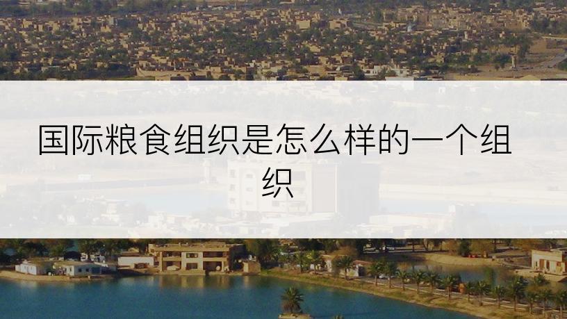 国际粮食组织是怎么样的一个组织