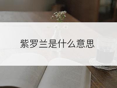 紫罗兰是什么意思