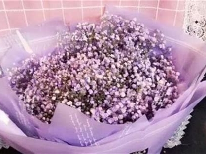 满天星送女朋友合适吗