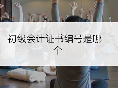 初级会计证书编号是哪个